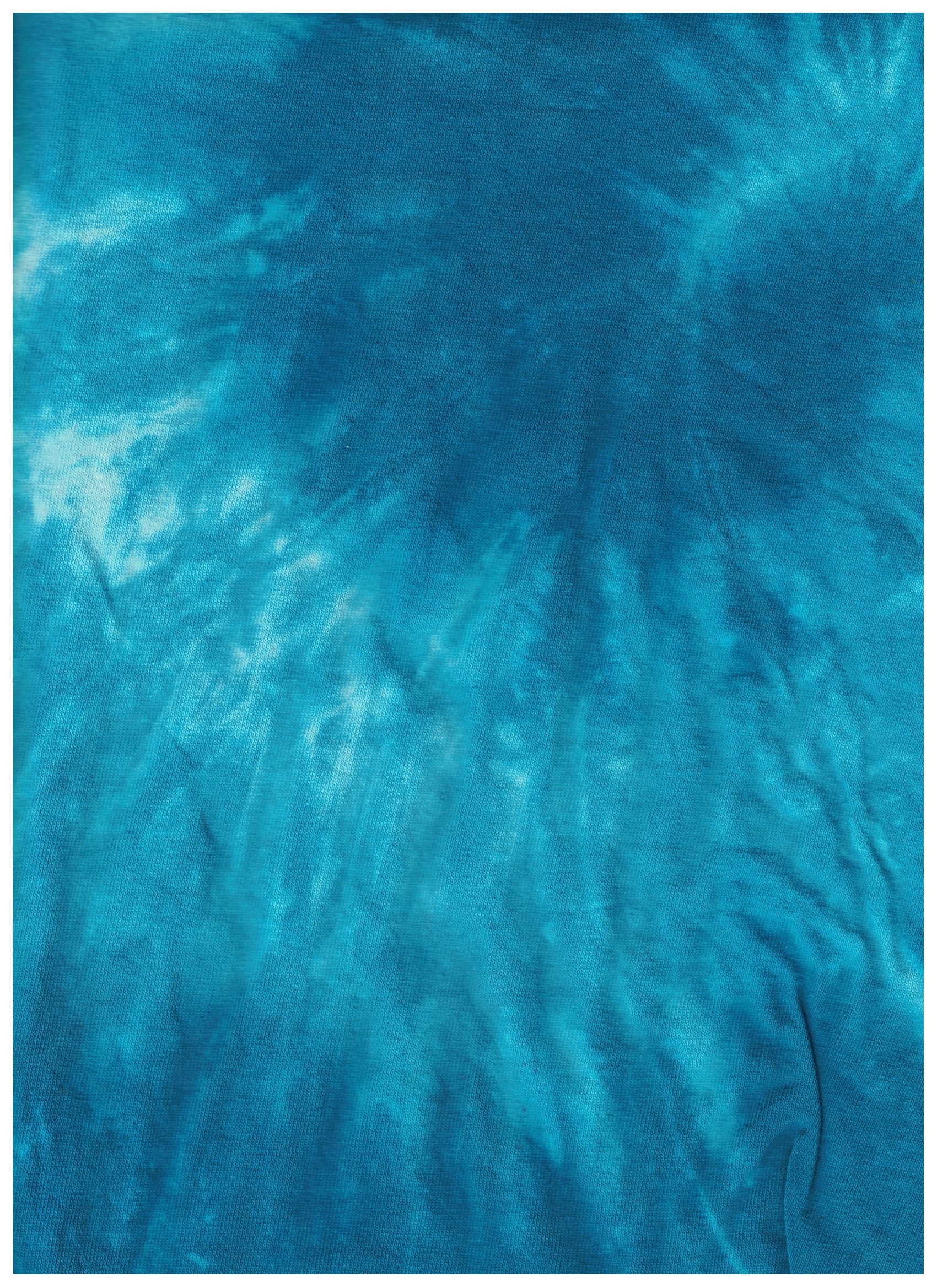Sheshellblue